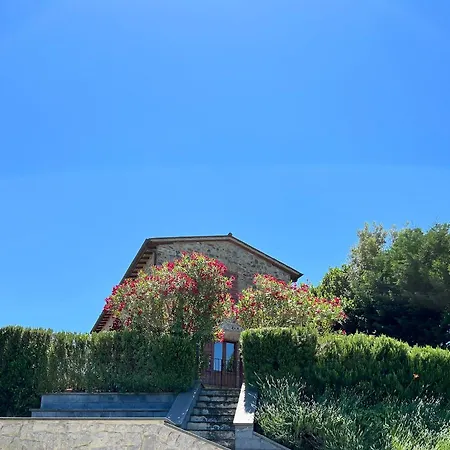 Casa Del Leone *